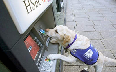 Dog at cashpoint