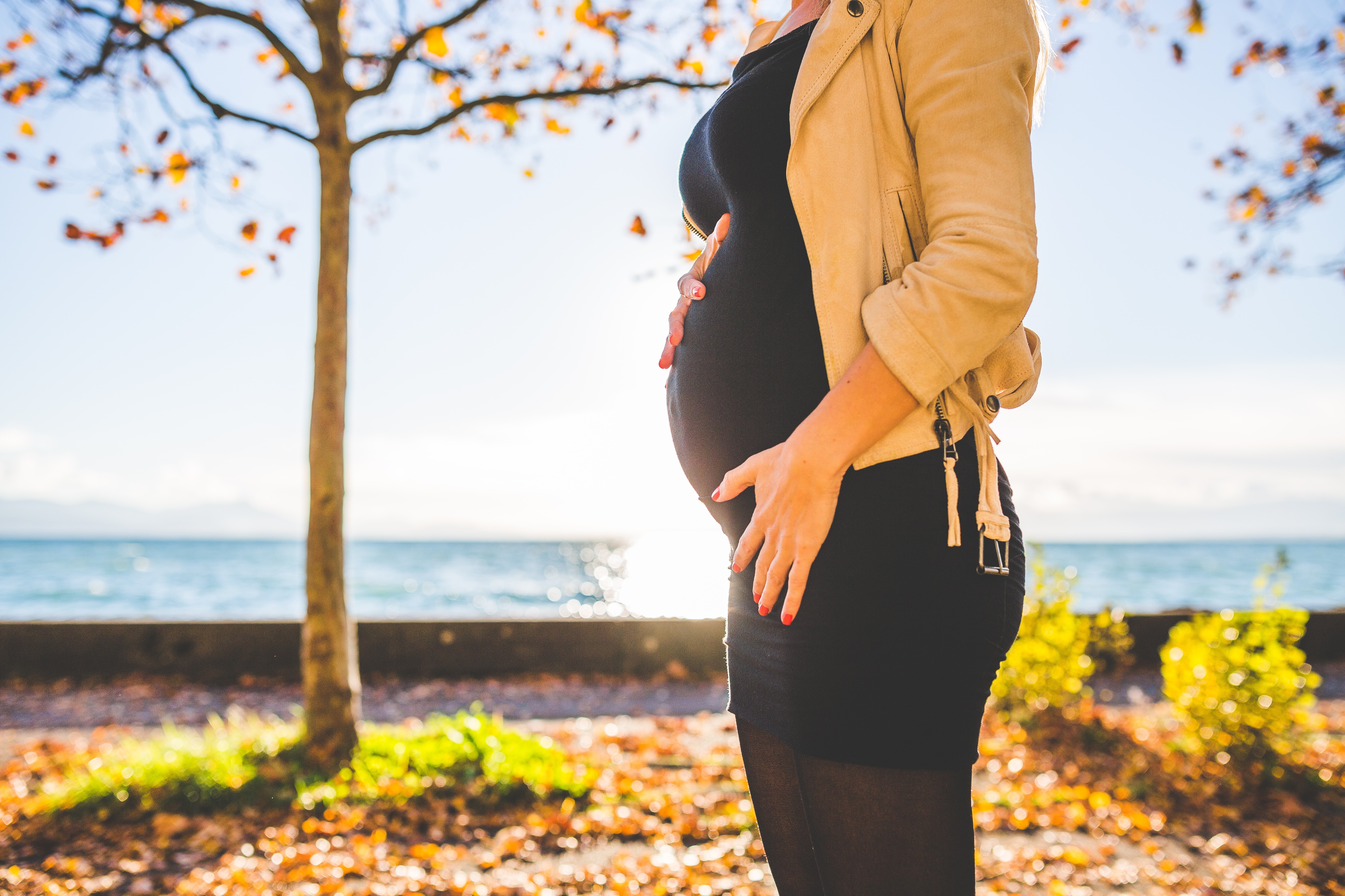 Pregnant woman in front of a tree