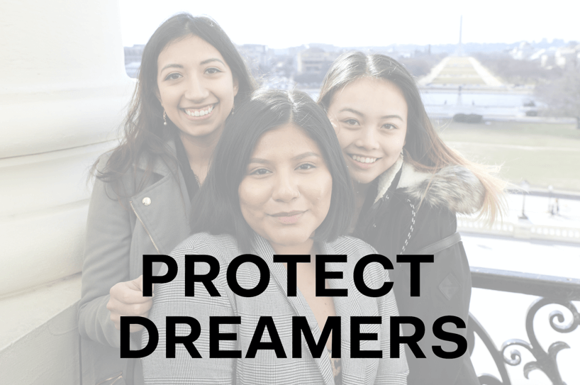 SEO graphic of three women with the caption "PROTECT DREAMERS"