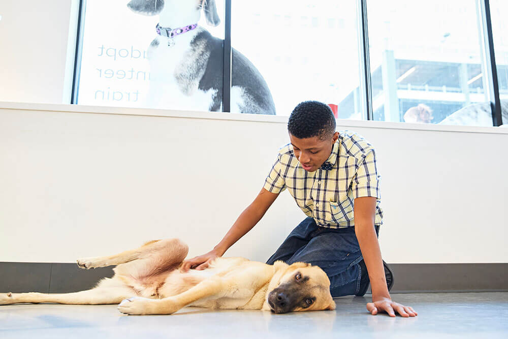 a young man at an animal shelter petting a dog laying on the ground