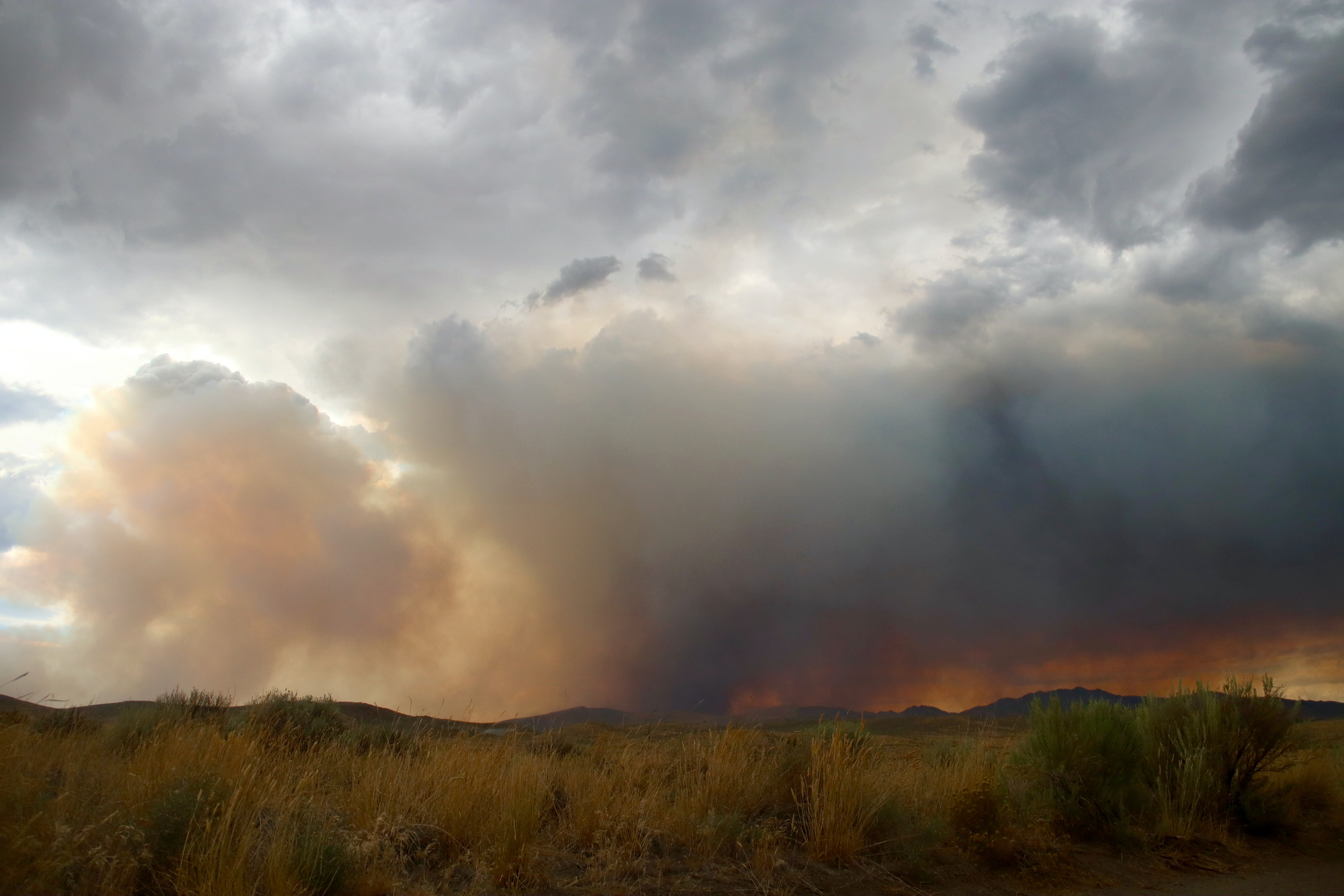 The complete guide to bushfire relief in Australia